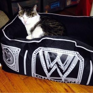 Meet your Posher, Rosie